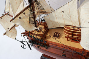 Sailing Ship HM Bark Endeavour Natural